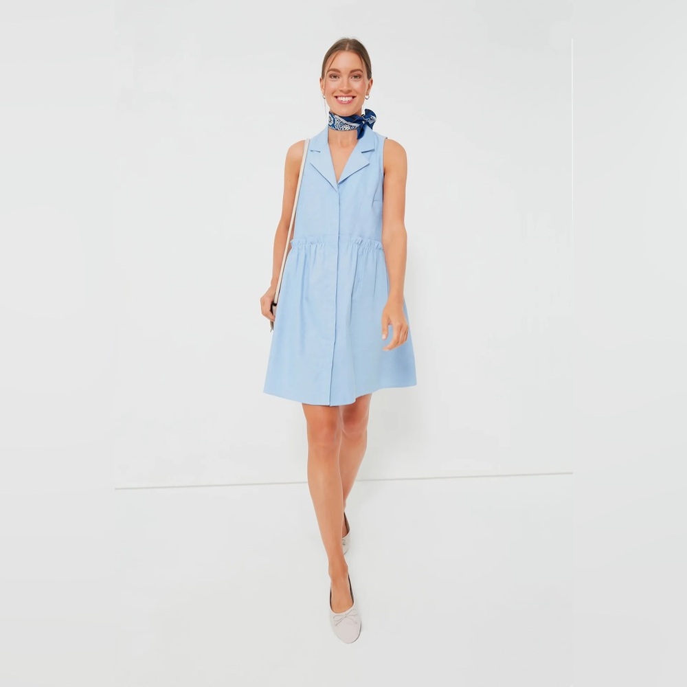 Tuckernuck Oxford Blue Sleeveless Royal Shirt Dress